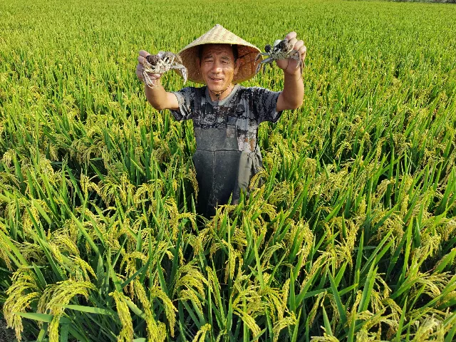 静•画｜熟啦~~ 等你摘摘摘