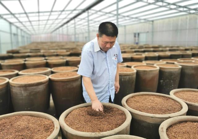 35年的匠心“守艺”,只为酿出这一口百年醇厚……
