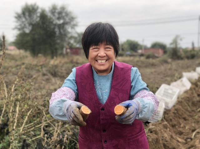 新思想引领新征程时代答卷丨“薯”你最美，这里的红薯大丰收