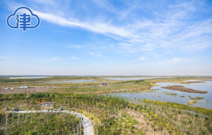 天津“八里湾绿色生态屏障”引中外媒体惊呼：太美了！