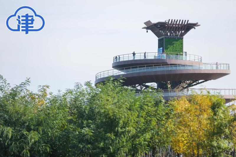 天津“八里湾绿色生态屏障”引中外媒体惊呼：太美了！
