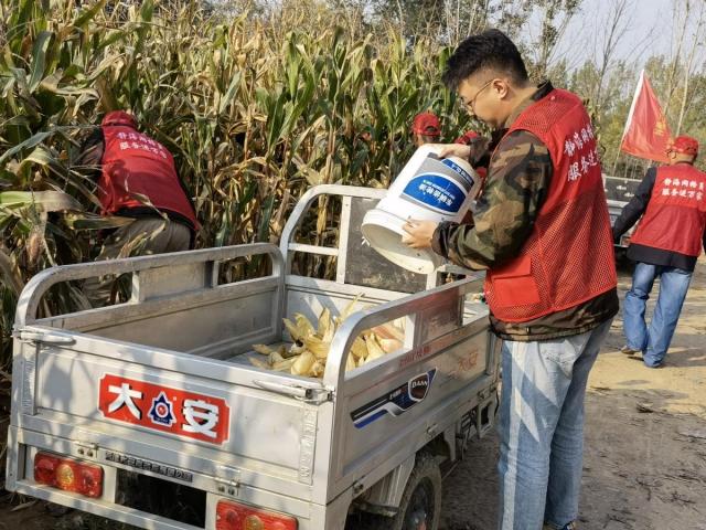 我为群众办实事|“无晴天”里“有情事”,李大妈地里来了一支“秋粮抢收服务队”……