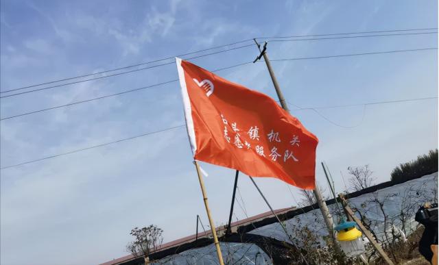 我为群众办实事|“无晴天”里“有情事”,李大妈地里来了一支“秋粮抢收服务队”……
