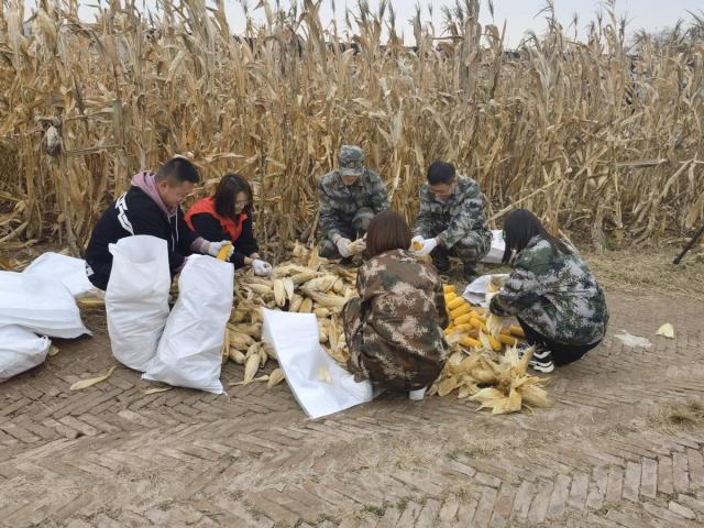 我为群众办实事|“无晴天”里“有情事”,李大妈地里来了一支“秋粮抢收服务队”……