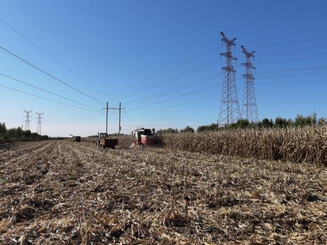新思想引领新征程时代答卷｜收玉米、种小麦，抓住晴好天气快快快