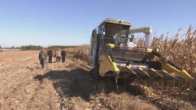 新思想引领新征程时代答卷｜收玉米、种小麦，抓住晴好天气快快快