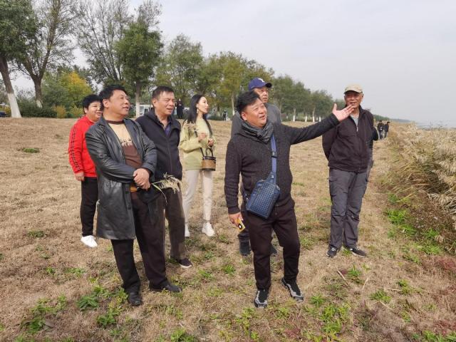 深学笃用 天津行动丨特色地标走一圈,艺术家眼中不一样的静海……