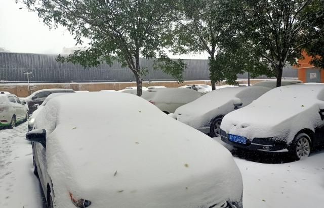 静·画丨大雪如约而至