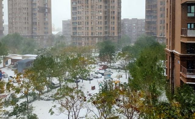 静·画丨大雪如约而至