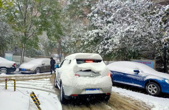 静·画丨大雪如约而至