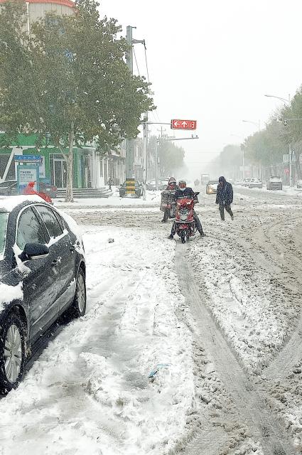 静·画丨大雪如约而至