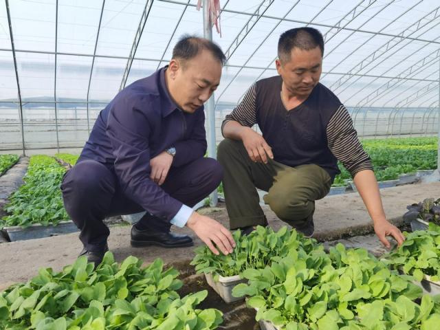 深学笃用 天津行动丨当好“牵线人”，让“卡壳”企业动起来，经济转起来