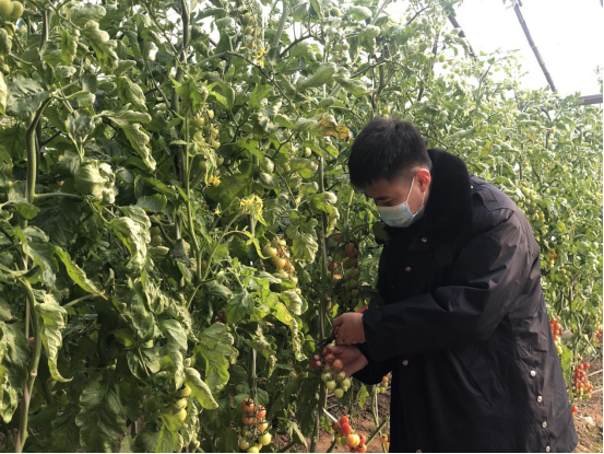 六大攻坚战怎么干怎么战丨写好“三乡”文章 加快推进农业农村现代化