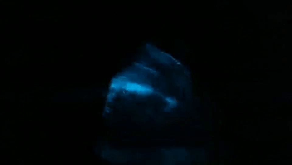 罕见！爆发级"蓝眼泪"刷屏！"蓝眼泪"到底是啥 究竟能不能用手摸？