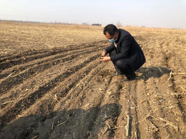 摆好姿势，做好准备，共赴五月花海之约