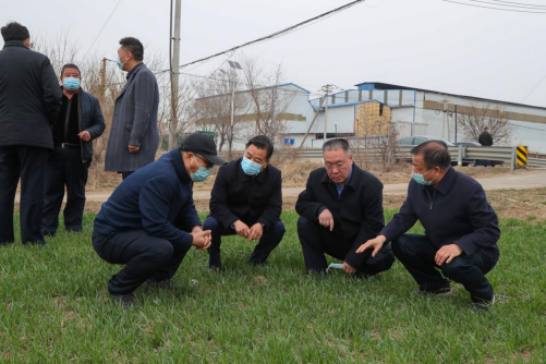 刘春雷深入部分乡镇调研“三农”工作 实施乡村振兴战略 确保农业稳产增收