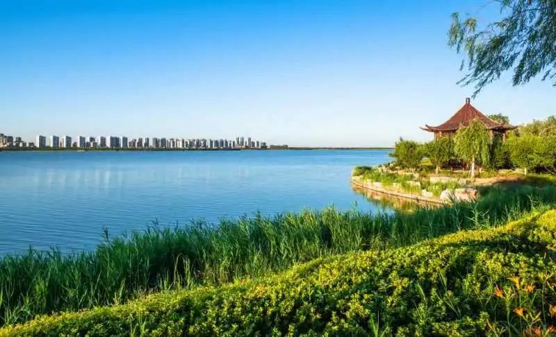 期待 | 出行改善、景色靓丽！天津东丽湖区域即将大变样！