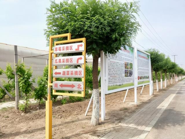 奋进新征程 建功新时代丨初夏水果采摘第一弹，安排