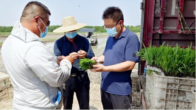 奋进新征程 建功新时代丨“小河蟹”住上“稻花屋”,静待金秋好收成
