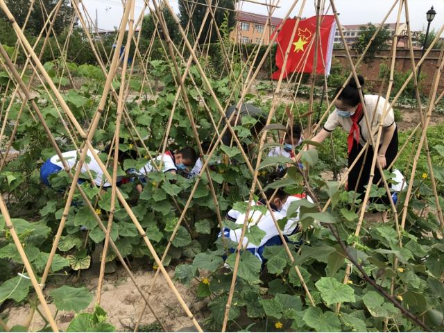 奋进新征程 建功新时代丨你好,小小少先队员们