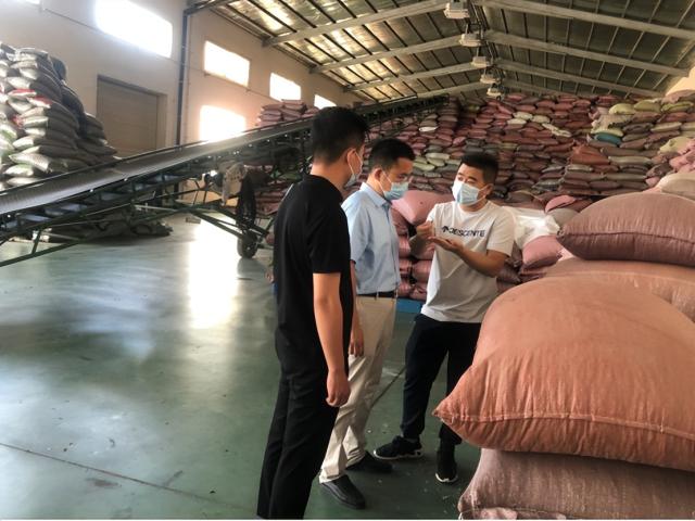 贯彻党代会精神·静海在行动丨建设产业强镇 全力迈出乡村振兴新步伐