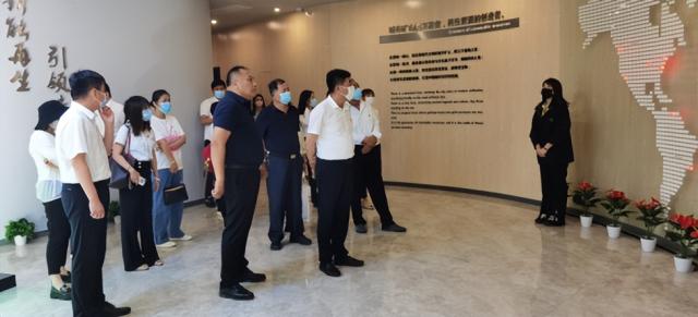 迎盛会 铸忠诚 强担当 创业绩丨进村庄、进园区，他们的社会实践活动接地气、树正气