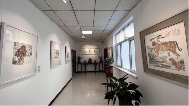 “虎啸风生”肖培金壬寅生肖虎作品展，你打卡了吗？