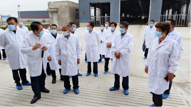 再续山海情深 共谱协作新篇