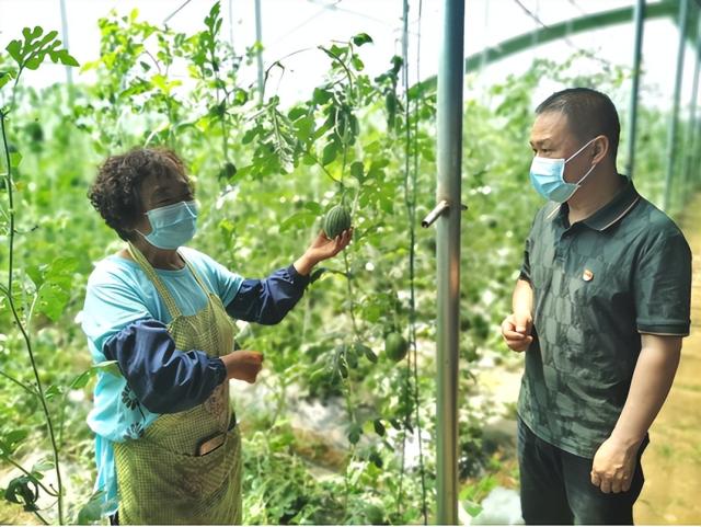 干事创业的静海人丨村书记开出致富“良方”，让乡亲们的日子更红火