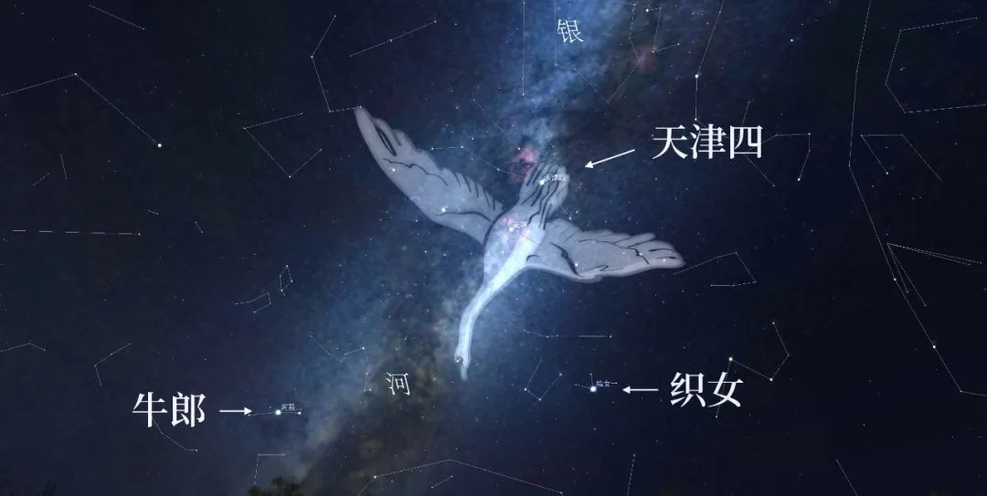 天津飞上天？银河落海河？牛郎织女鹊桥会与为嘛叫天津有关？今天七夕是天津的……