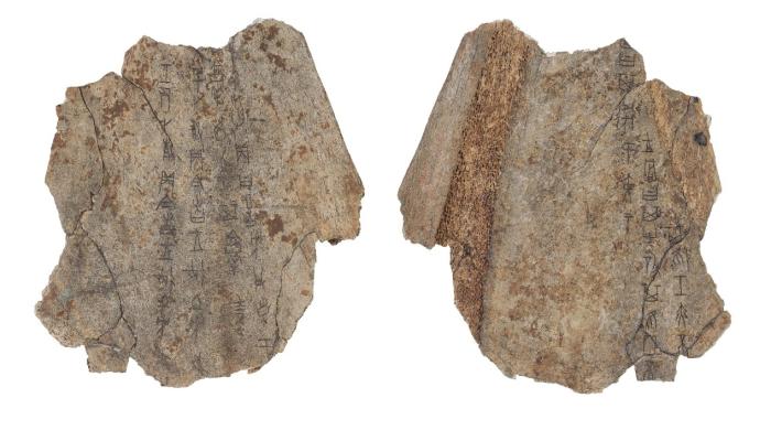 ���䶡 �� ������������