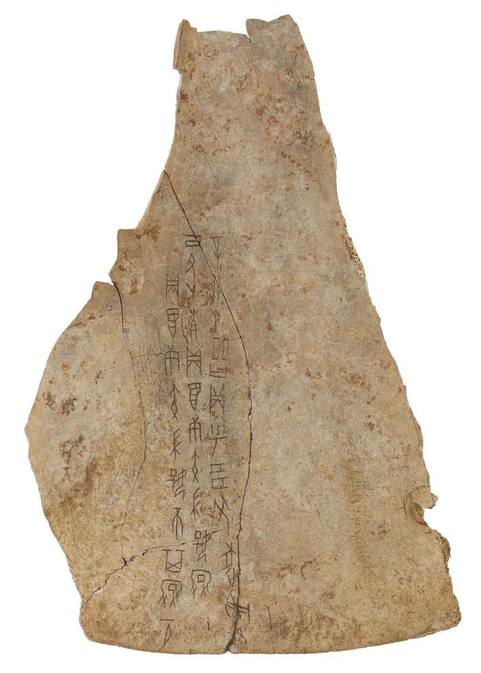 ���䶡 ������㣨�D���� ���䣩����