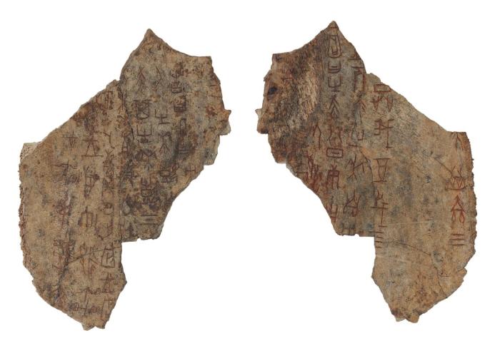 ���䶡 ��î�����ֲ���