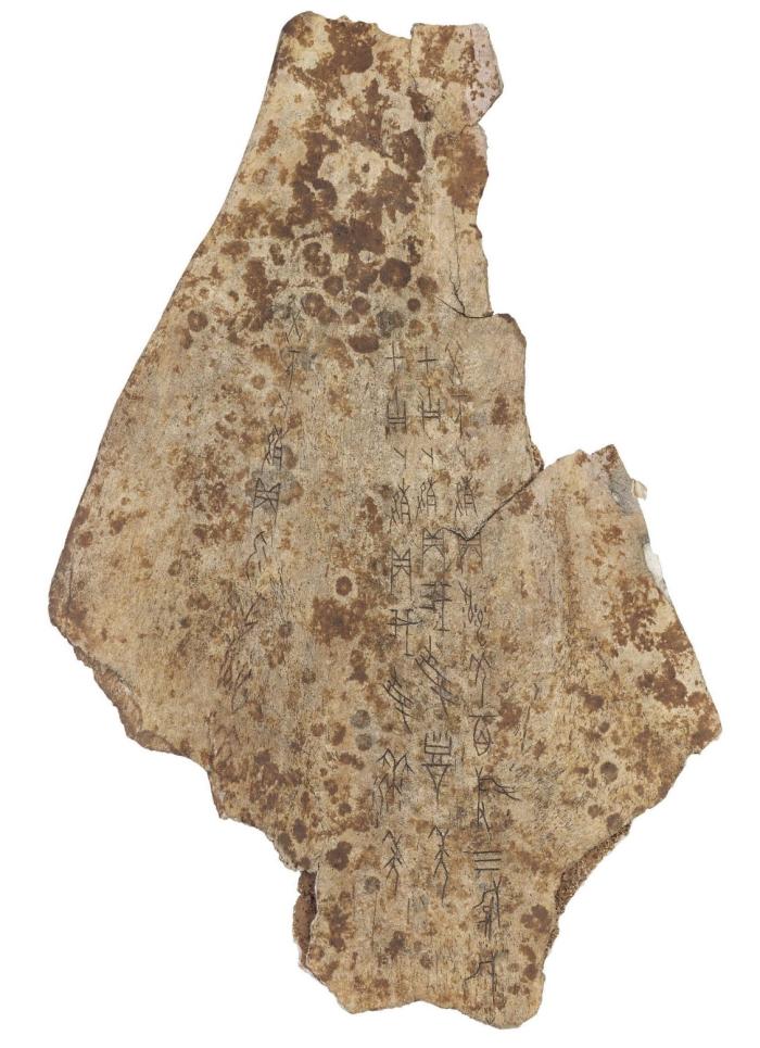 ���䶡 �������겷��