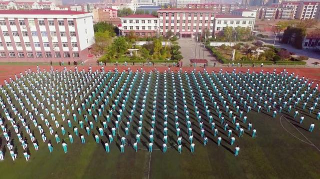 给静海七中绿色生命教育点赞