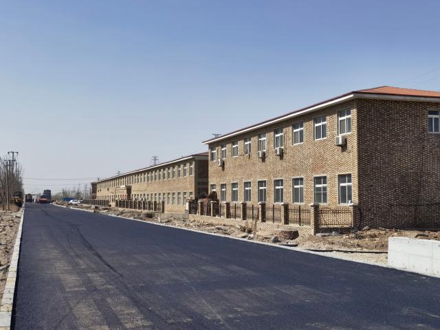 我为群众办实事津南区小站镇服务百姓办实事打通乡村振兴路