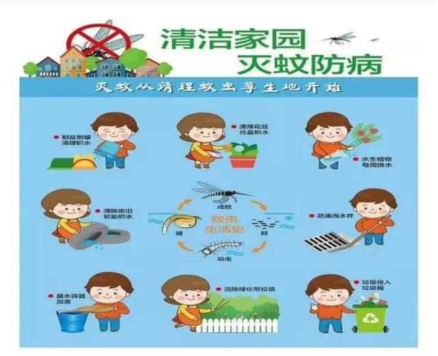 红桥区将启动夏秋季灭蚊蝇活动居民应搞好卫生以防蚊蝇孳生