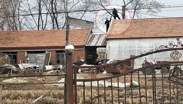 老虎进村伤人,遇袭者首度发声还原经过:先扑一下又咬一口,驾车救人