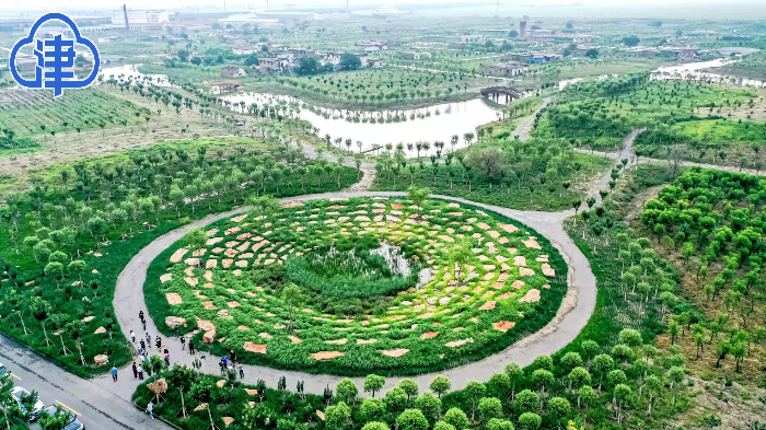 津彩行大运丨短短三年西青这个钉子小镇完成从灰色到绿色的美丽蜕变