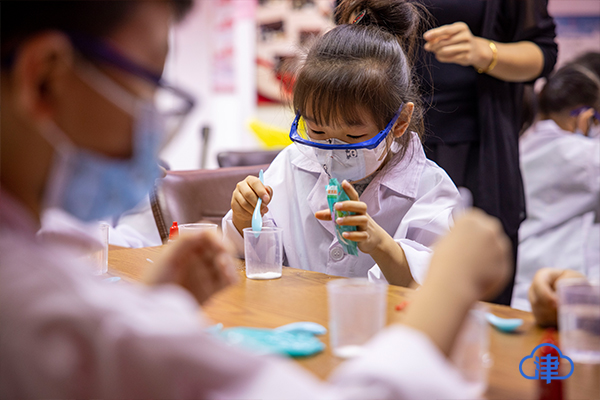 小小科学家探究科学知识