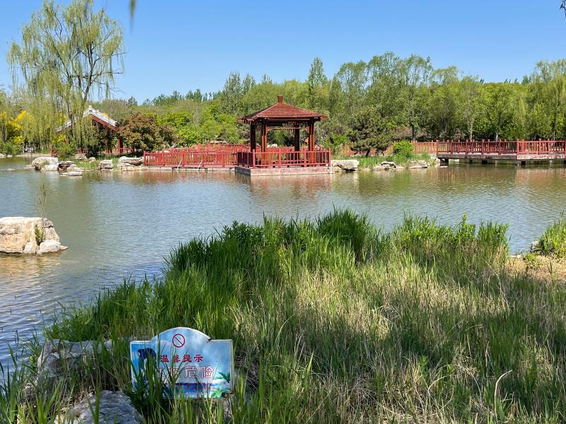 京津冀三地游客青睐武清区津北森林公园