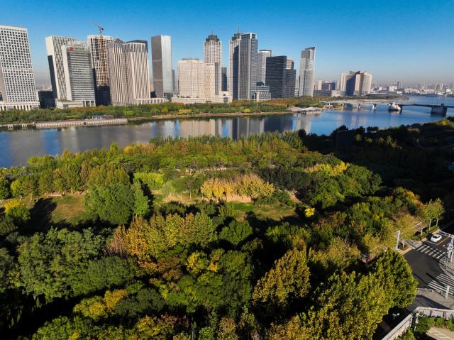 镜头:霜降时节 滨城秋景层林尽染 色彩斑斓 赏秋景