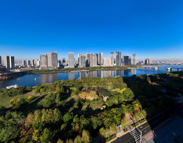 镜头:霜降时节 滨城秋景层林尽染 色彩斑斓 赏秋景