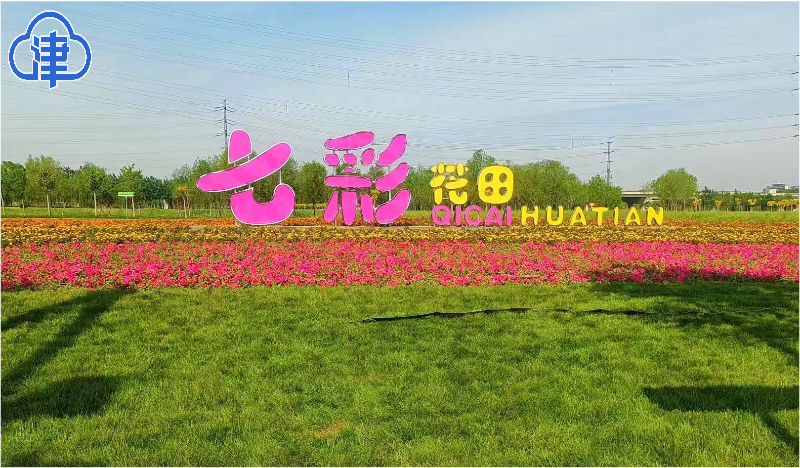 空港七彩花田"上新了"!网红拍照设施整装亮相