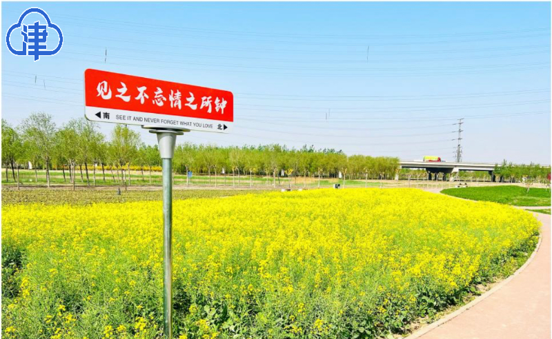 您当前的位置:>北方网>新闻中心>天津>津云播报> 花田艺术字位于七彩